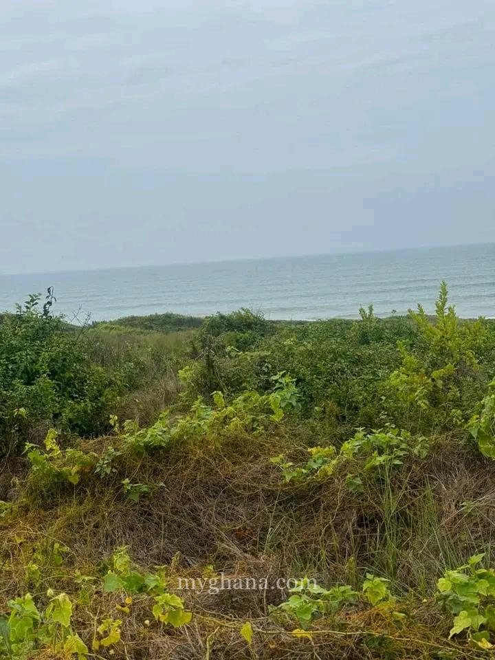 Direct Beachfront Lands @ Senya Breku