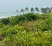 Direct Beachfront Lands @ Senya Breku