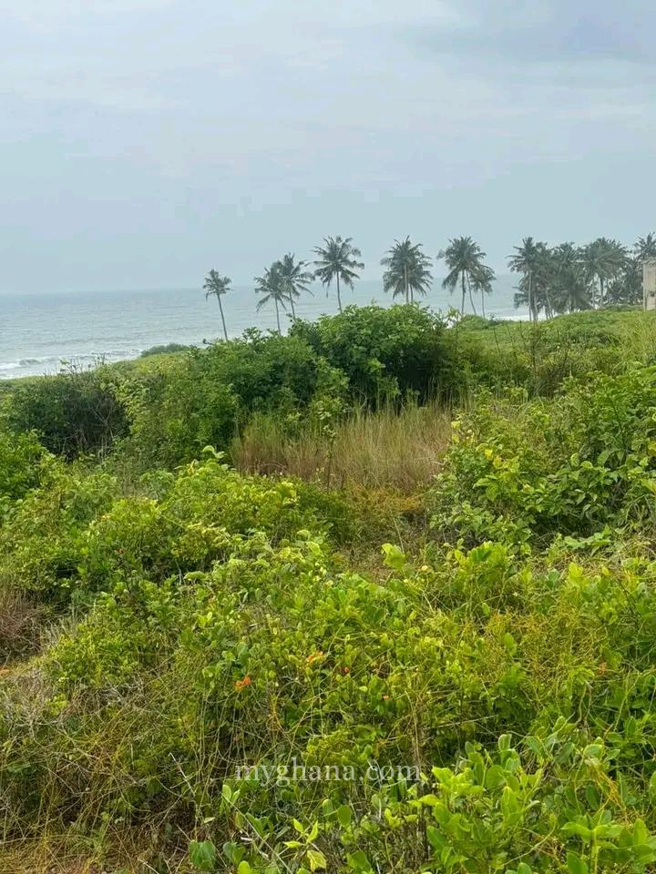 Direct Beachfront Lands @ Senya Breku