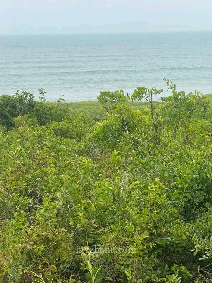 Direct Beachfront Lands @ Senya Breku