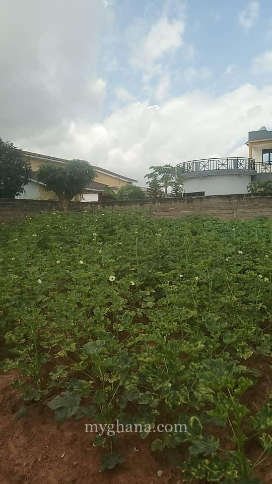 2 plots of land by tarred road at agbogba abladjei