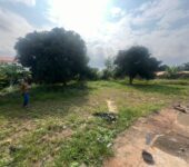 70×100 titled plot of land for sale at oyarifa school junction