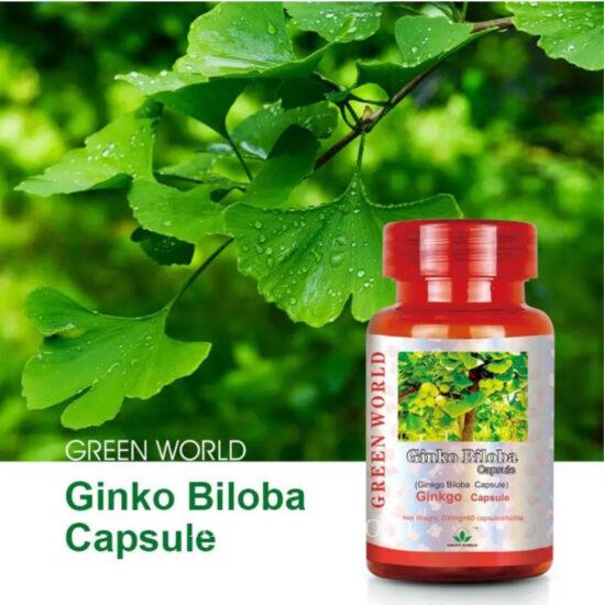 Brain & Congnitive Supplement
