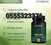 Brahmi Bacopa Monnieri Memory Brain Focus