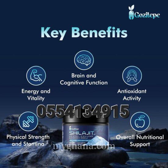 Gozitepe Shilajit Original Himalayan