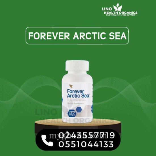 Forever Arctic Sea