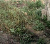 7.8 Acres of Land for Sale at Boteyman Near Olympics Stadium Accra