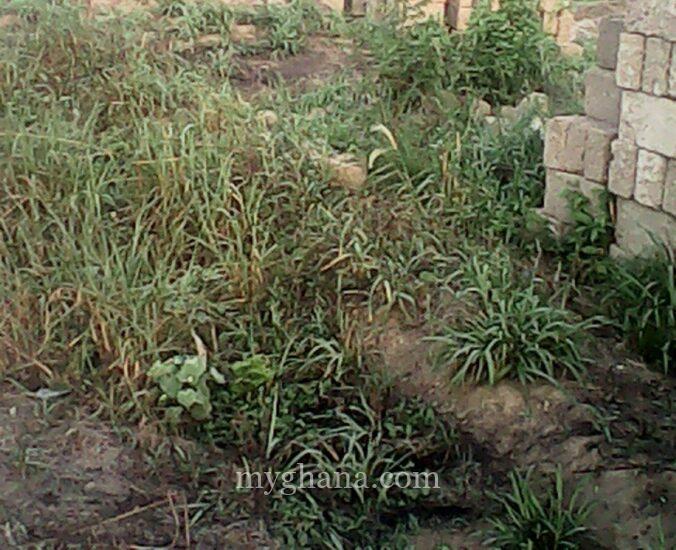 7.8 Acres of Land for Sale at Boteyman Near Olympics Stadium Accra