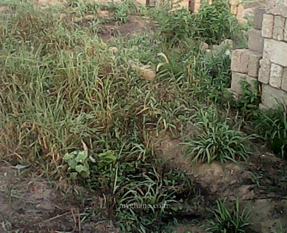 7.8 Acres of Land for Sale at Boteyman Near Olympics Stadium Accra