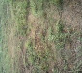 7.8 Acres of Land for Sale at Boteyman Near Olympics Stadium Accra