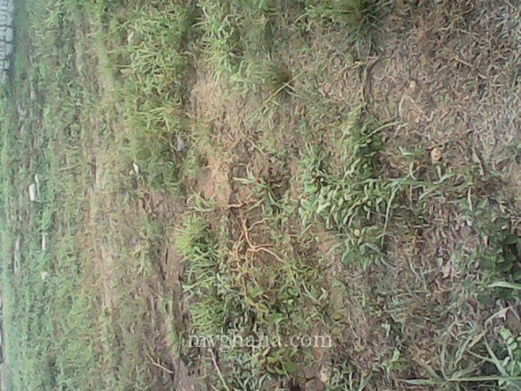 7.8 Acres of Land for Sale at Boteyman Near Olympics Stadium Accra