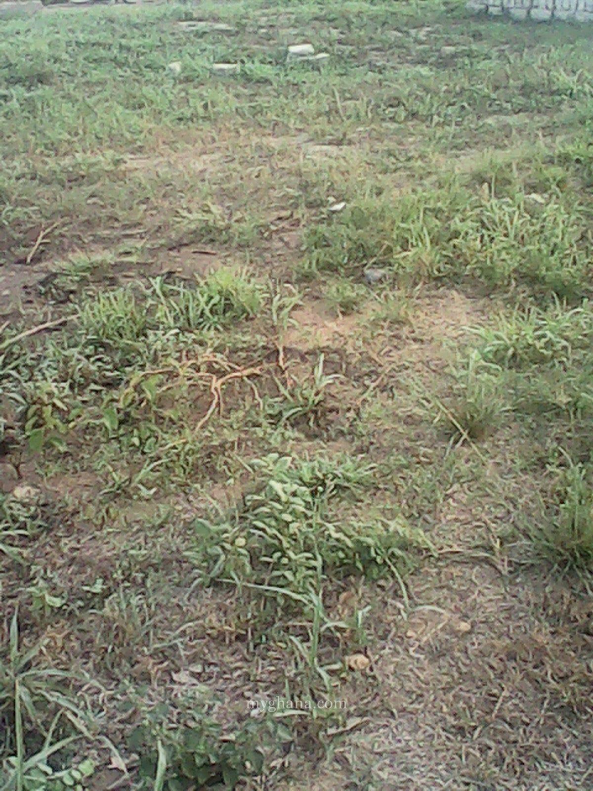 7.8 Acres of Land for Sale at Boteyman Near Olympics Stadium Accra