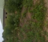 73 Acres of Titled Land for Sale at Dodowa Wedokum Accra