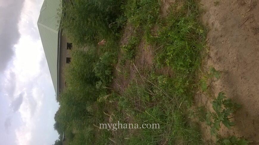 73 Acres of Titled Land for Sale at Dodowa Wedokum Accra