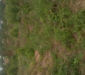 73 Acres of Titled Land for Sale at Dodowa Wedokum Accra