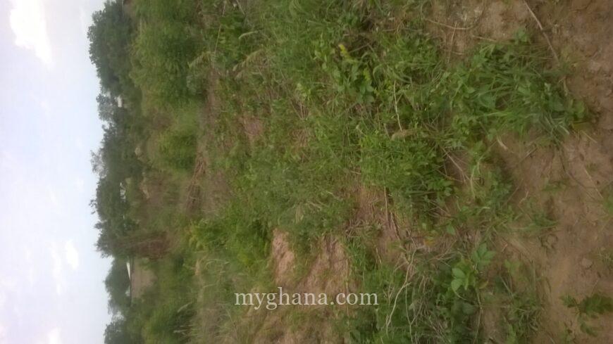 73 Acres of Titled Land for Sale at Dodowa Wedokum Accra