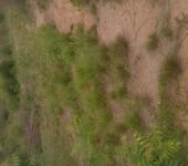 73 Acres of Titled Land for Sale at Dodowa Wedokum Accra