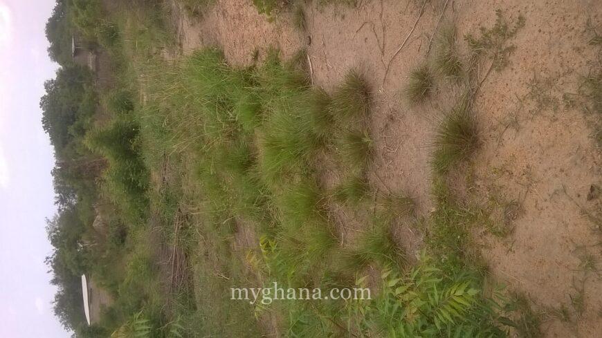 73 Acres of Titled Land for Sale at Dodowa Wedokum Accra