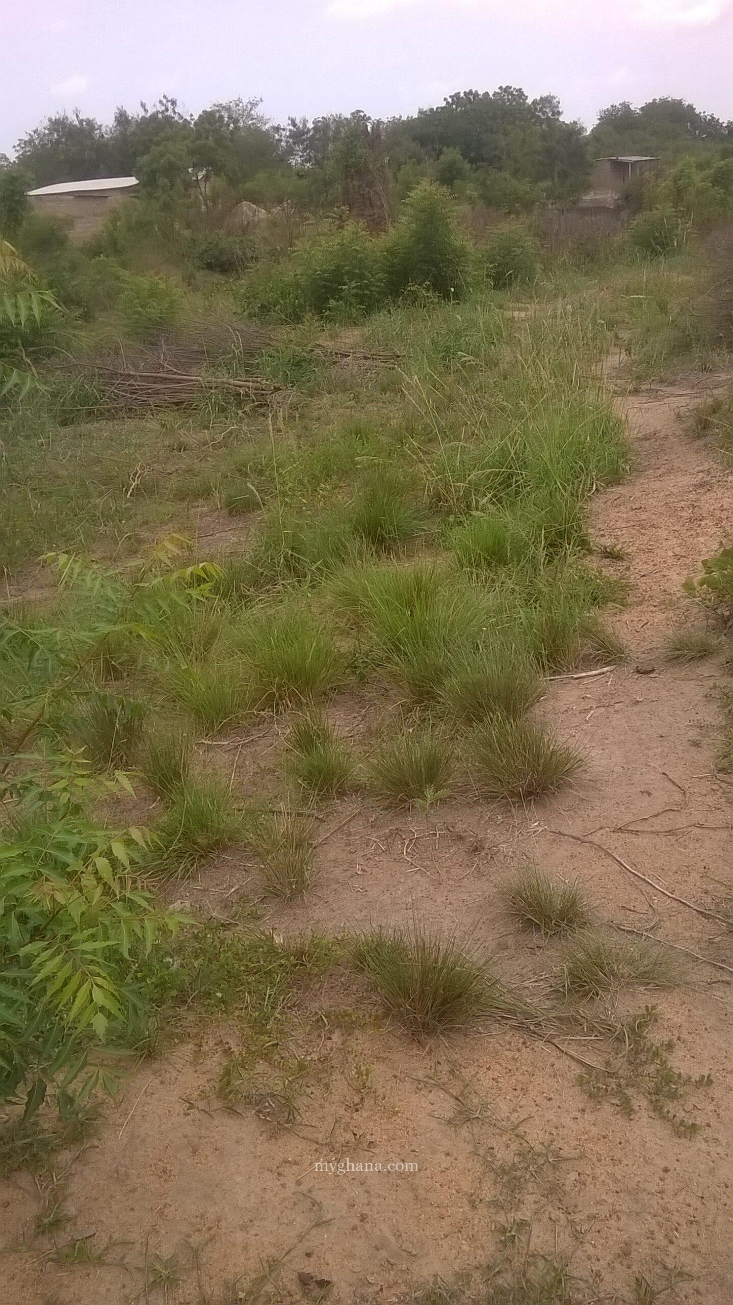 73 Acres of Titled Land for Sale at Dodowa Wedokum Accra