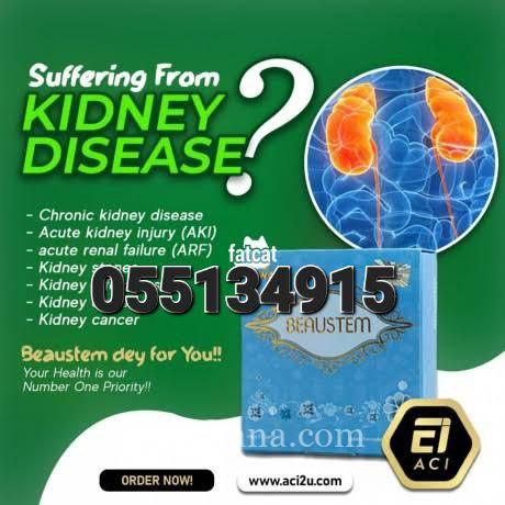 Beaustem Cell