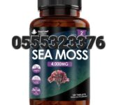 Sea Moss Tablets
