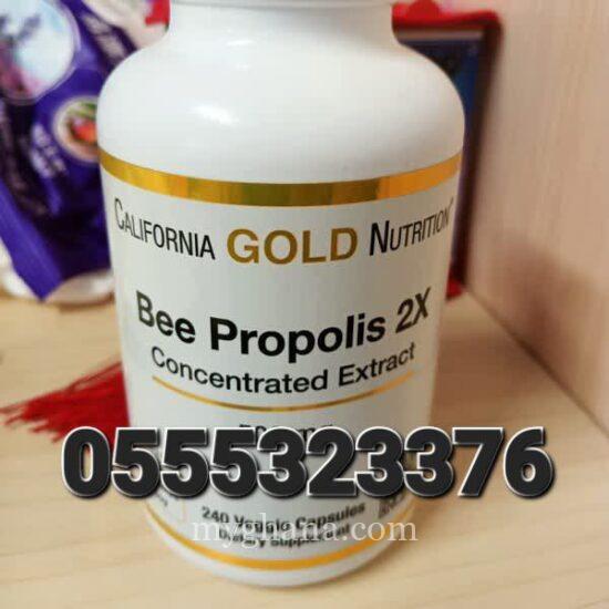 Bee Propolis 2X Concentrated Extract 500MG 90 Veggie Caps