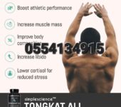 TONGKAT ALI 500MG