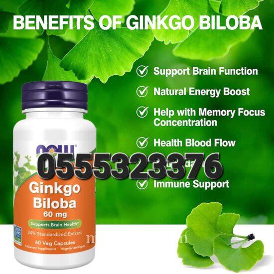 NOW Ginkgo Biloba 60mg