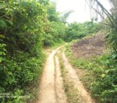 Registered 100 Acres at Teacher Mante – Region