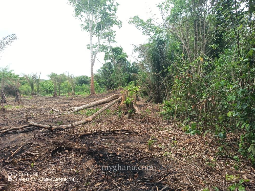Registered 400 Acres FARM LANDS at Adwaso – Eastern Region