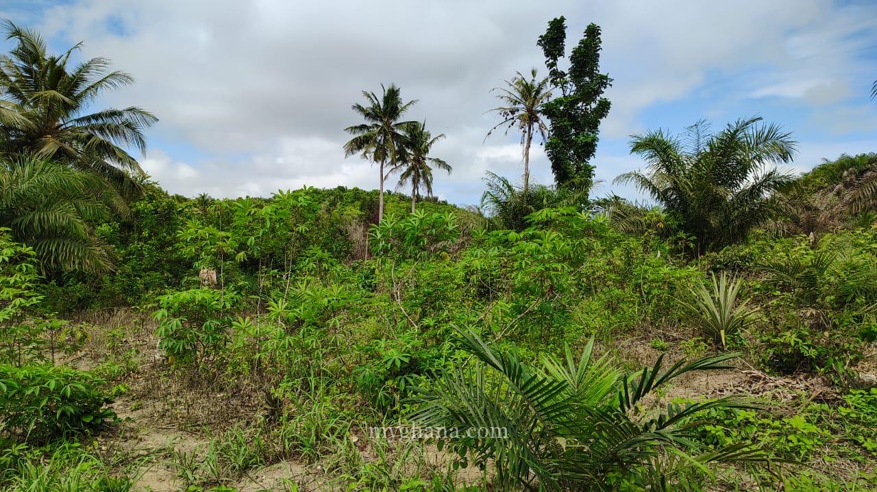 2900 Acres FARM LANDS at Asamankesse(Topiase)-Eastern Region