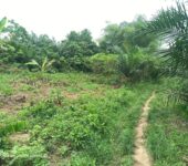 Registered 100 Acres at Teacher Mante – Region