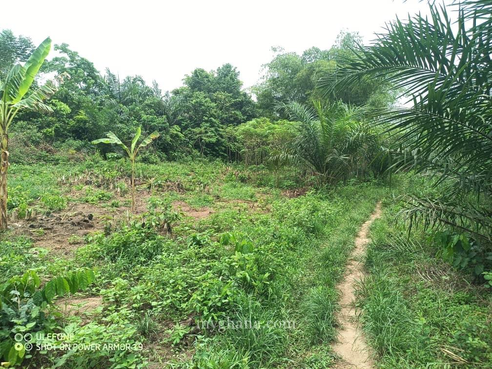 Registered 100 Acres at Teacher Mante – Region
