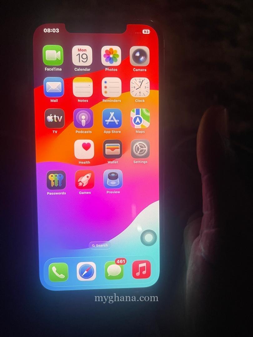 iPhone 12 Pro Max
