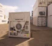 Shalom 40ft and 20ft reefer containers for sales