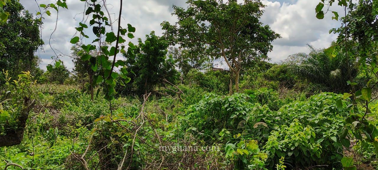 300+ Acres Agricultural Land at Adaklu(Helekpe)-HO