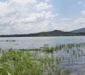 4000+ Acres Irrigable FARM LANDS for LONG RENT