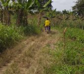 9.5 Acres Farmland For Sale