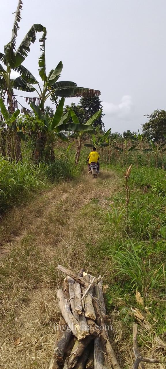9.5 Acres Farmland For Sale