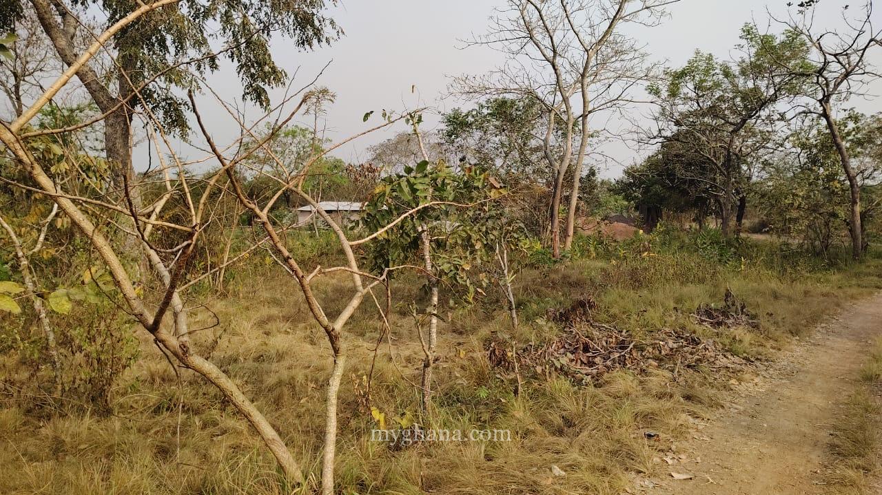 50 Plots of development Land at Sokode-HO Municipality,Volta Region