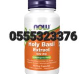 Now Holy Basil Extract 500 mg