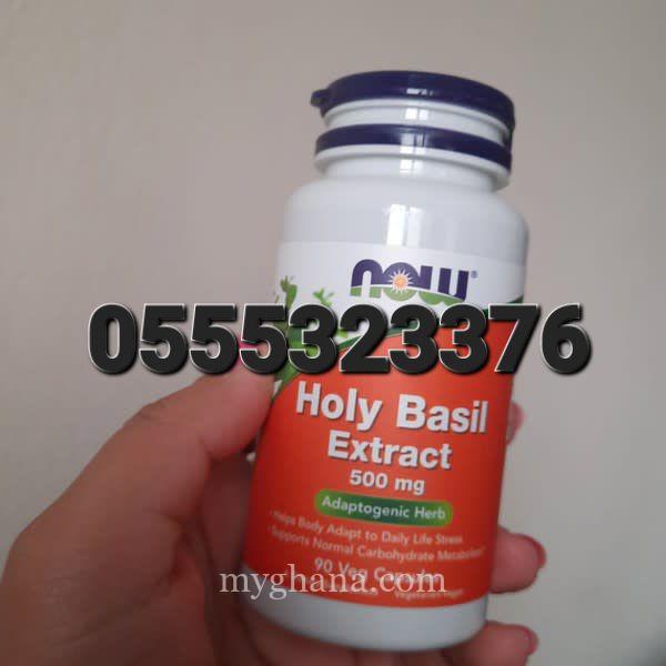 Now Holy Basil Extract 500 mg