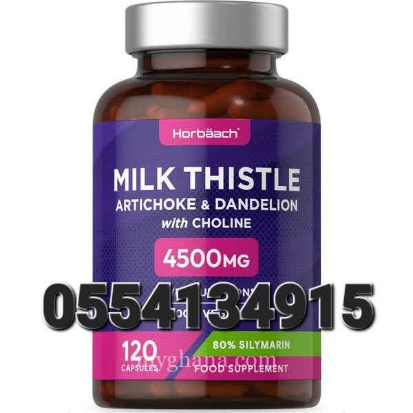 Horbaach Milk Thistle, Artichoke, Dandelion & Choline
