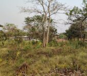 50 Plots of development Land at Sokode-HO Municipality,Volta Region