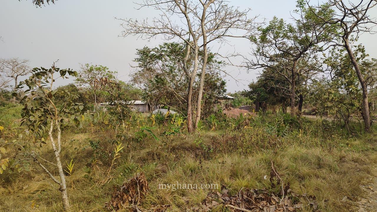 50 Plots of development Land at Sokode-HO Municipality,Volta Region