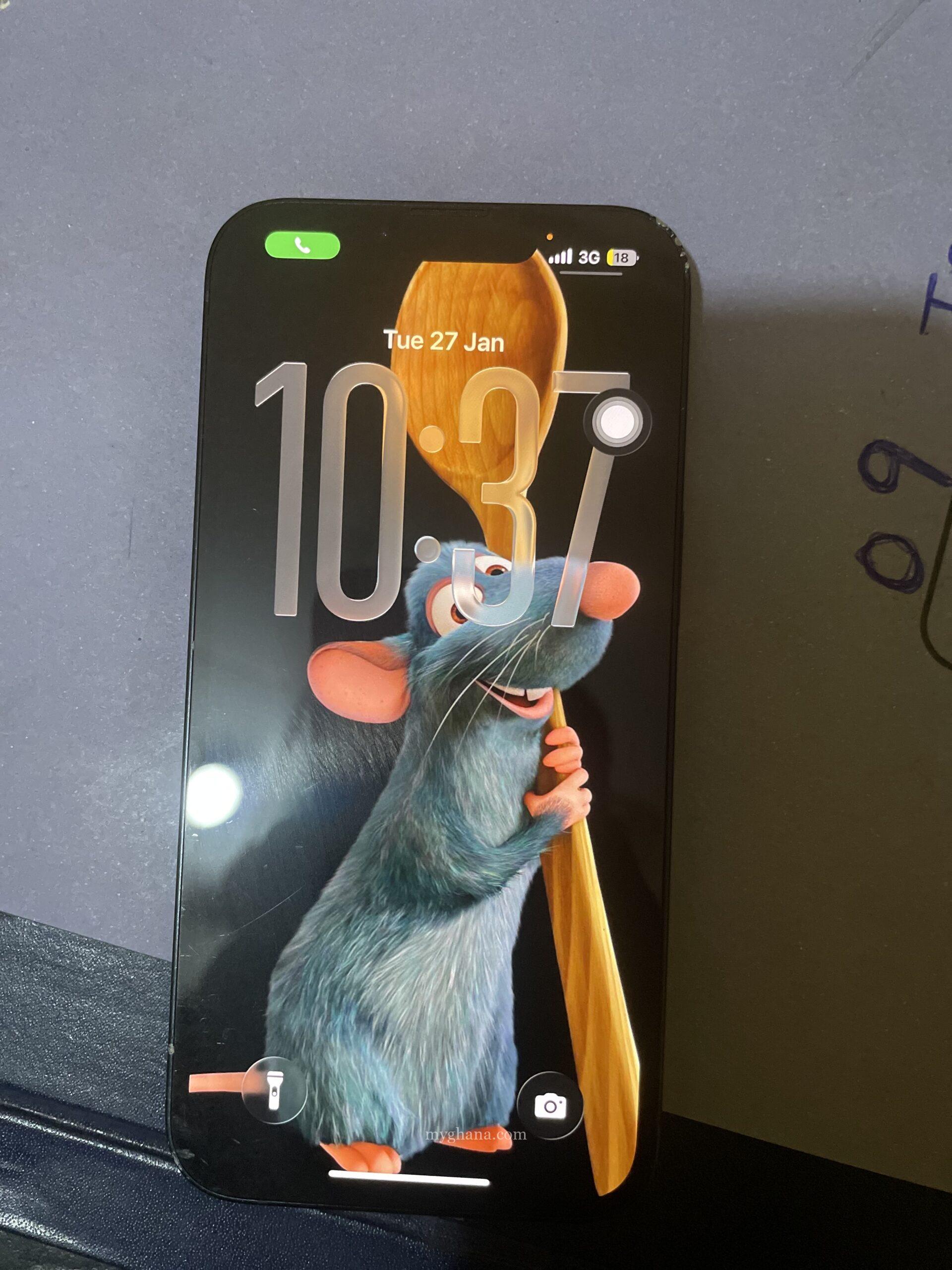 iPhone 13