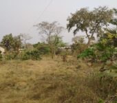 50 Plots of development Land at Sokode-HO Municipality,Volta Region