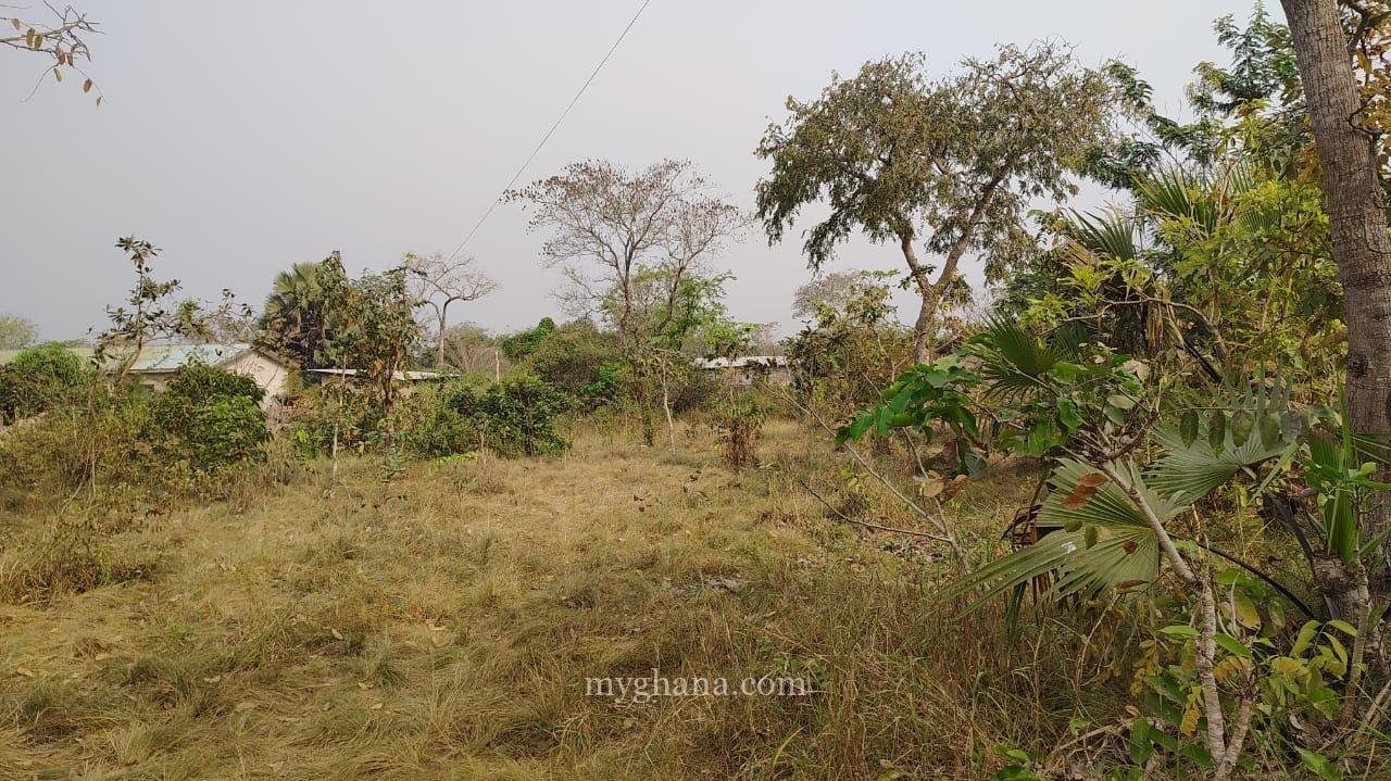 50 Plots of development Land at Sokode-HO Municipality,Volta Region