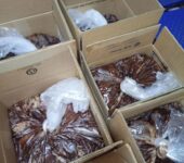 Cocoa mass available