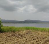 4000+ Acres Irrigable FARM LANDS for LONG RENT